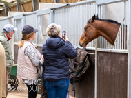 BP210325-86 - Squire Danagher